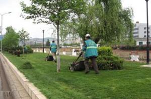 室外綠化養(yǎng)護10